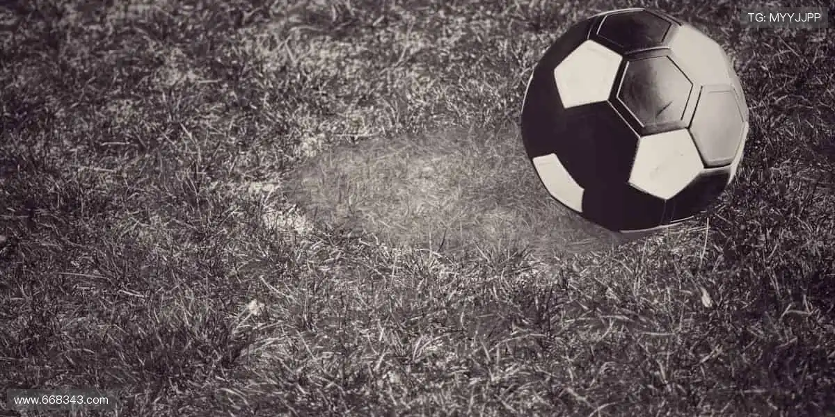 🎁 限量好礼，用热爱为偶像打 call！🎉